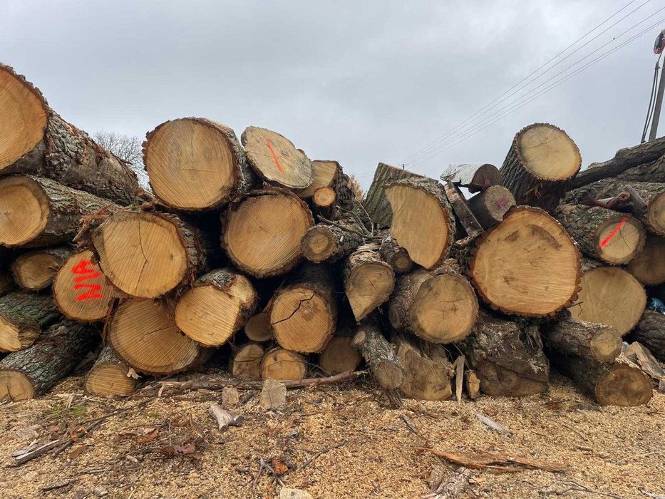 Drewno opałowe opał Kominek Kominkowe Liściaste Iglaste