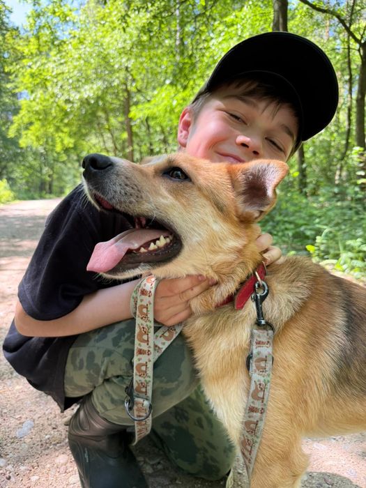 Pies pełen radości do adopcji – idealny na spacery