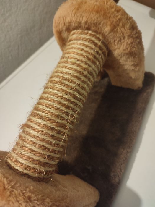 Arranhador novo  para gato