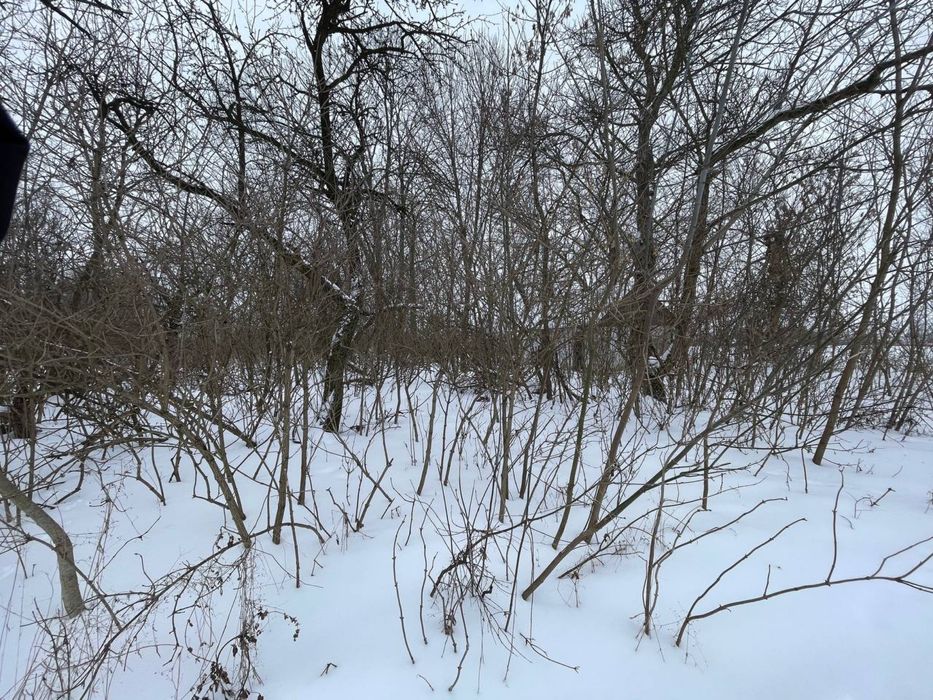 Продам земельну ділянку 80 соток біля Хмільника