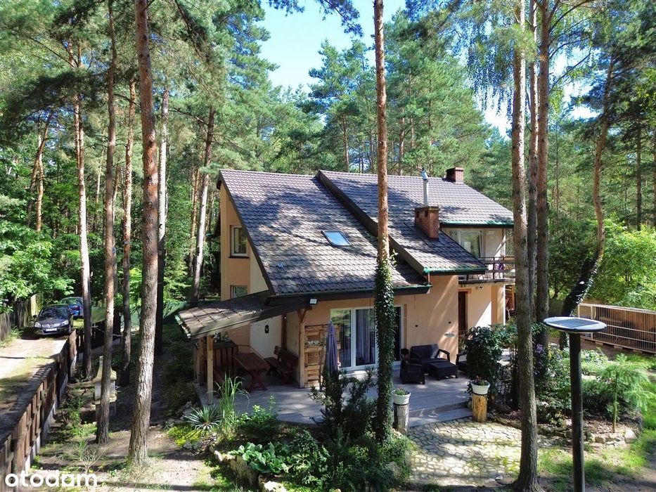 Otoczenie Lasu sosnowego - do zamieszkania