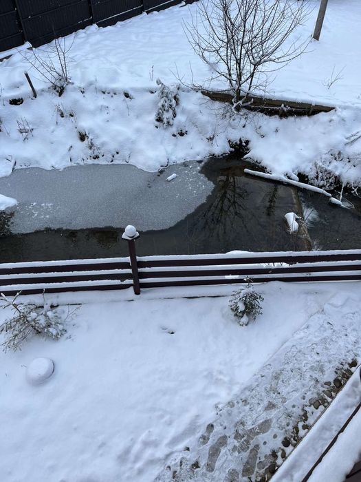 Котедж «Ведмедиця Тадея»