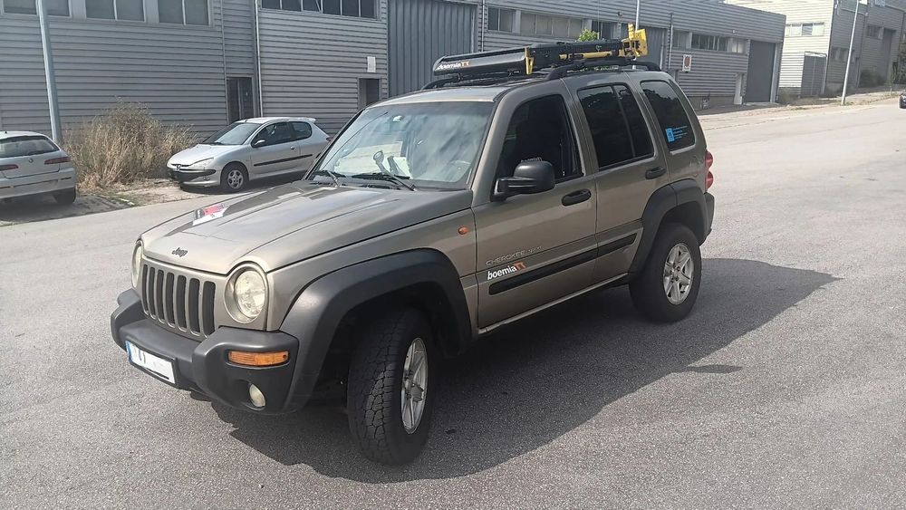 Jeep Cherokee65100296303618124