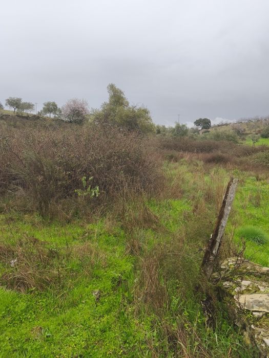 Terreno rústico em Moncorvo