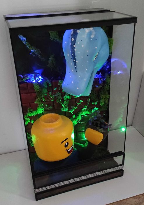 Terrarium dla patyczaka, gekona płaczącego, AquaWaves