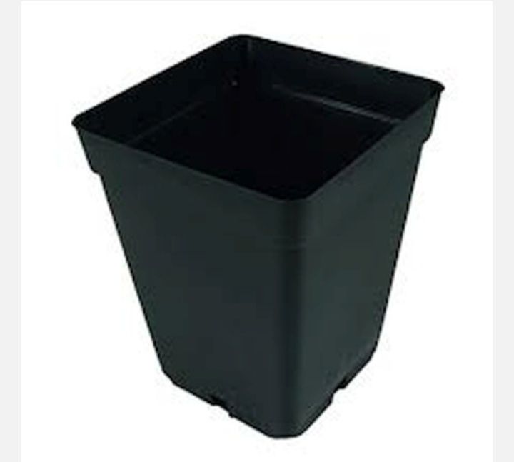 Vasos de vários tamanhos