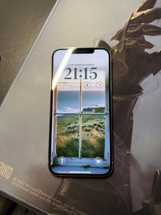 iPhone 12 Pro Max (256 GB)