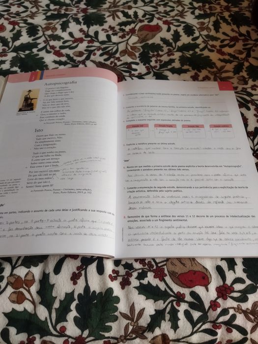 Livro de exercícios de português 12° ano