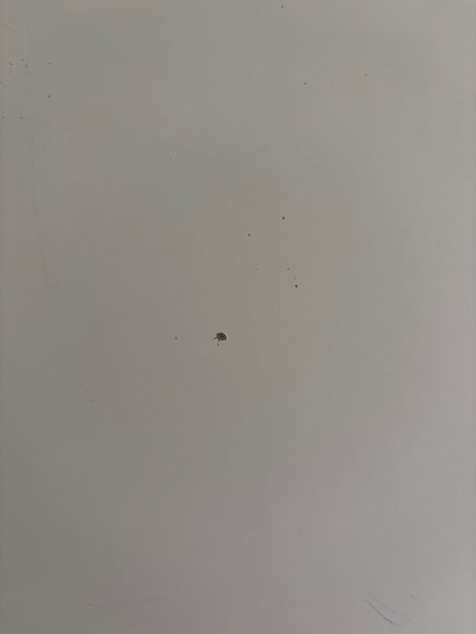 Biurko ilea micke 105x50 cm uzywane