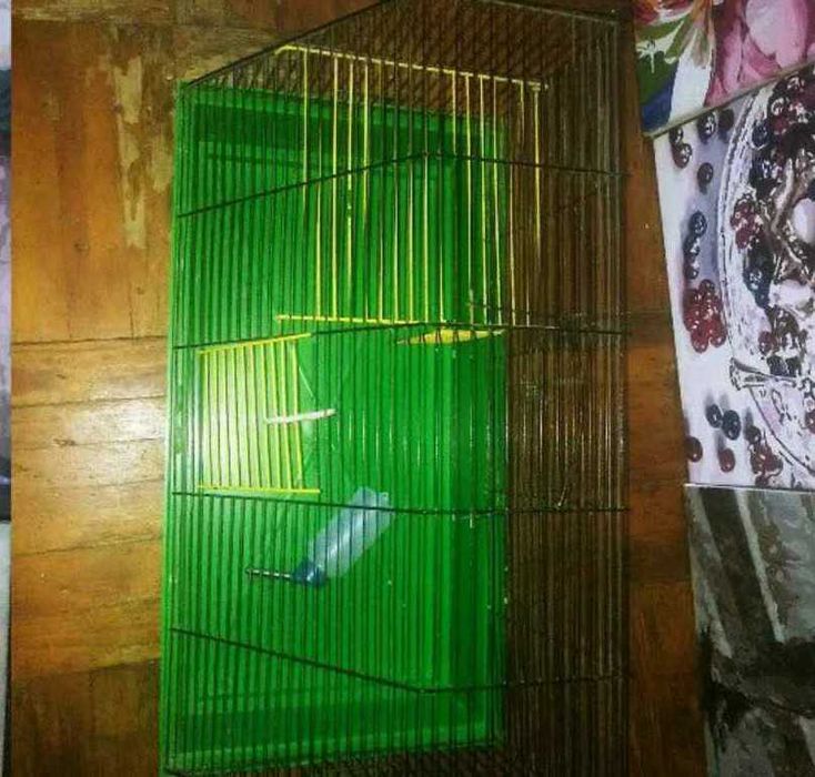 Клетка для морской свинки