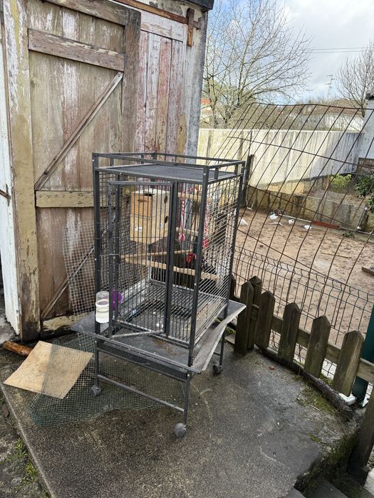 Gaiola para papagaio