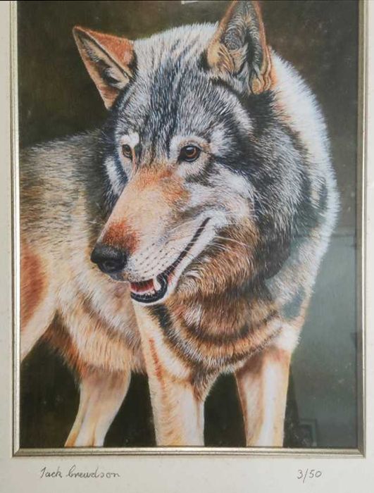 Conjunto de 3 Quadros Impressão Limitada