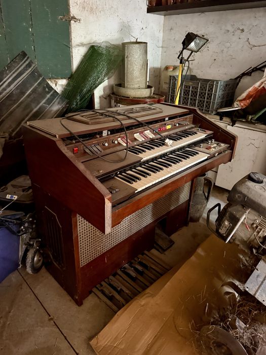 Orgão musical Farfisa 112466-E