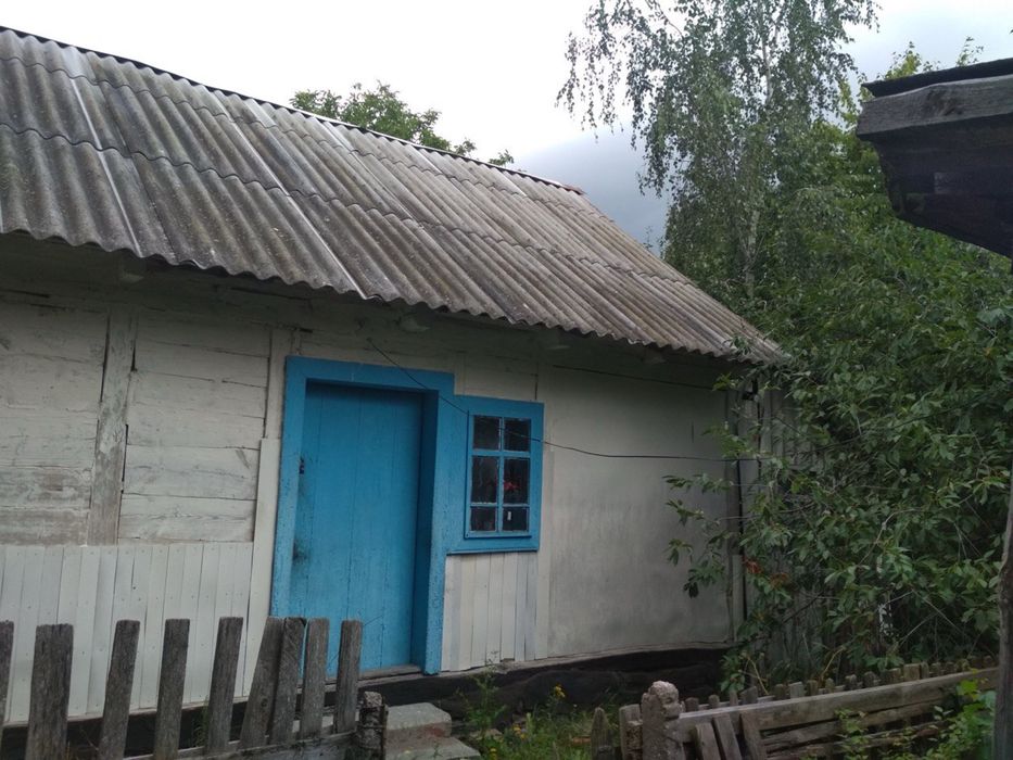 Будинок з ділянкою, хата