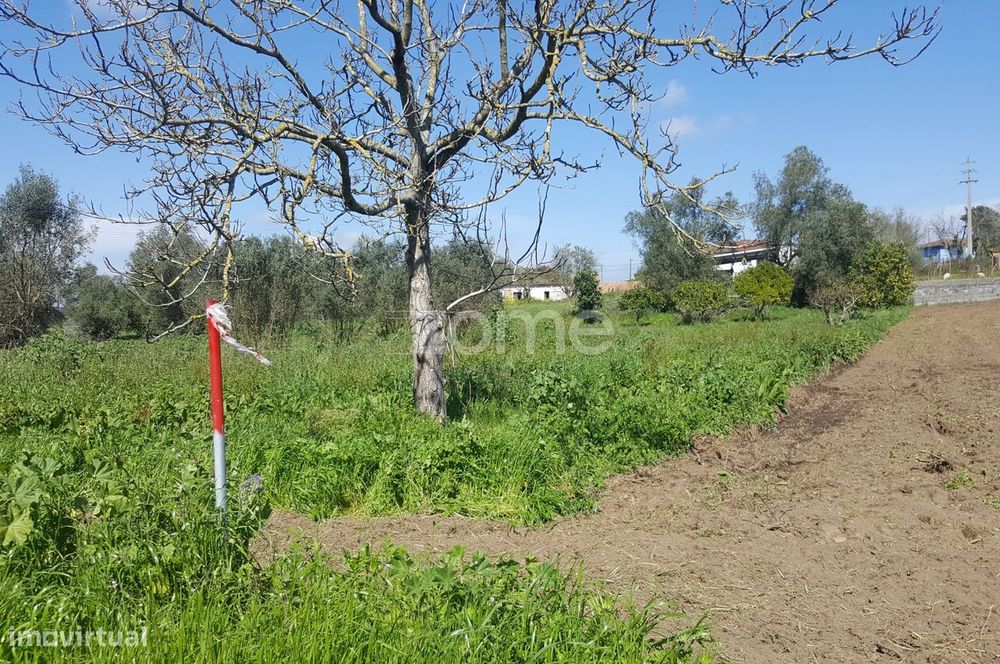 Terreno urbanizável em Milagres