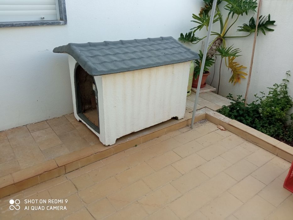 Casa para cão em cimento