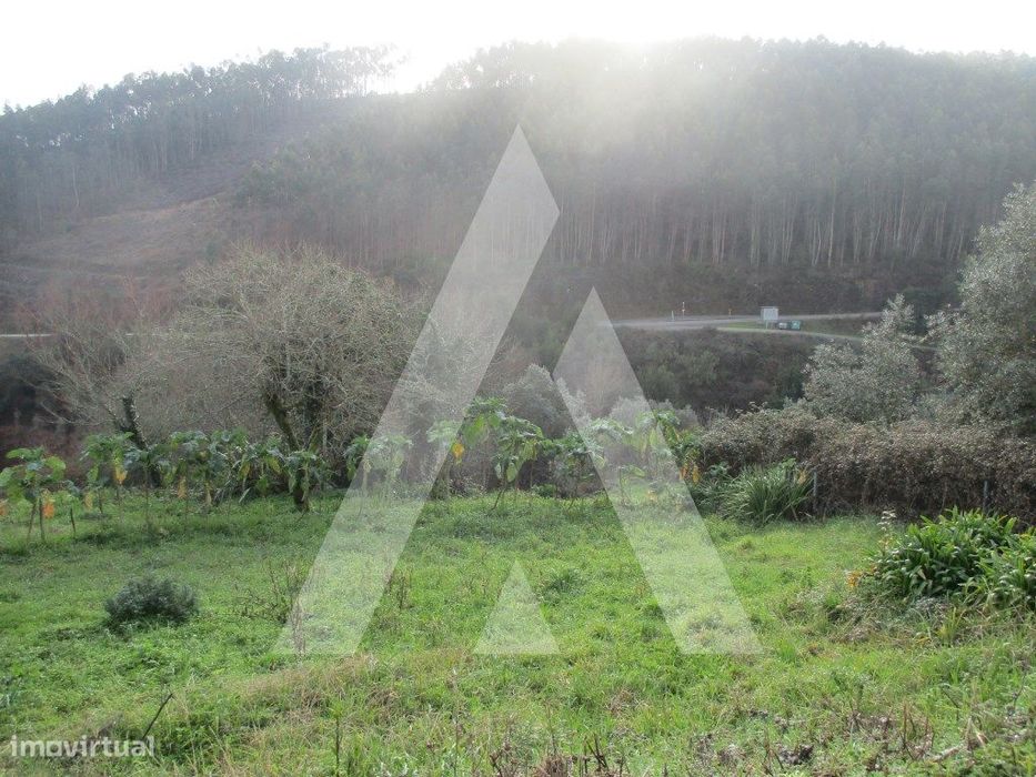 Terreno na zona de Anadia — Moita, Aveiro