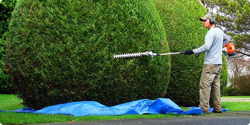 Karczowanie działek, koszenie, cięcie żywopłotów, drzew, wertykulacja