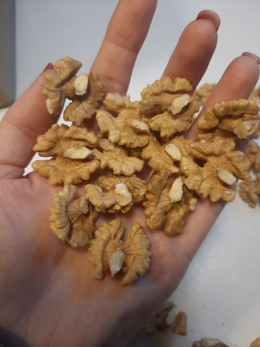 Грецький горіх волоський сухий світлий бабочки четвертинки грецкий оре