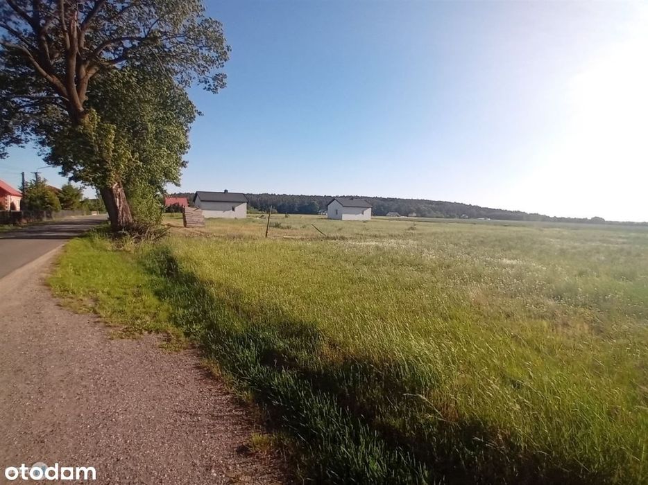 6 działek, 2 budynki letniskowe, 2 min JuraPark! - Więcej