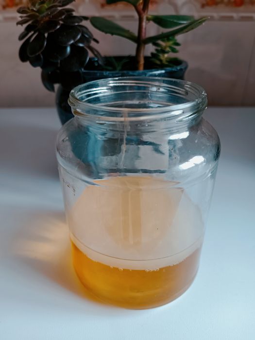 Kombucha com líquido starter (também envio por CTT)