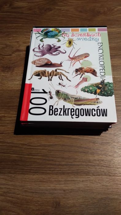 Zestaw 6 książek używanych w dobrym stanie.