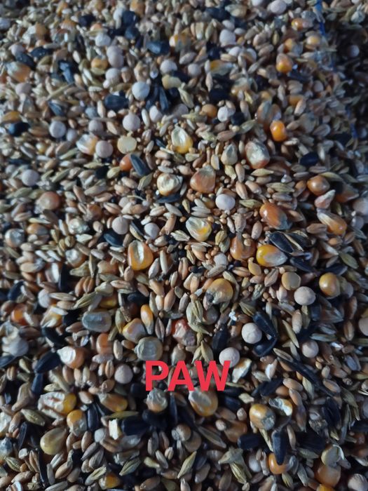 Karma mieszanka dla pawi 20kg