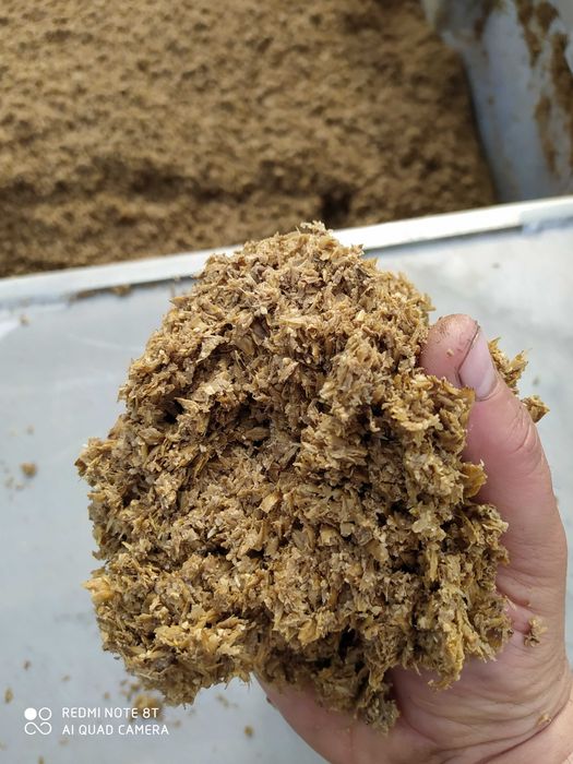 Młóto browarniane, wysłodziny browarniane