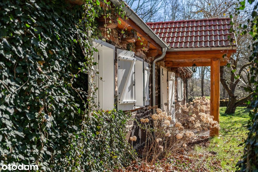 Piękna posiadłość w środku lasu, duża działka 6,2ha