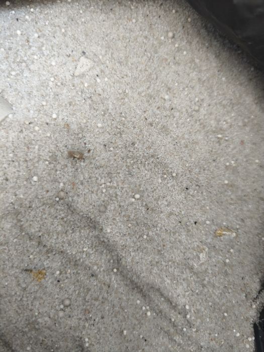 Areão para aquário de água doce