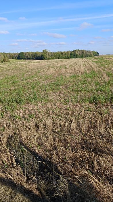 Sprzedam działke budowlana