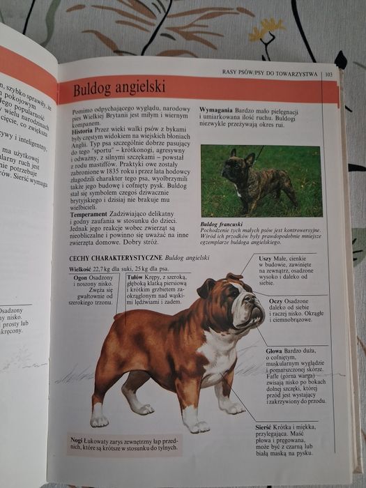 Ty i twój pies+ Mądrzejsze niż myślisz. 2 podręczniki, szkolenie psow