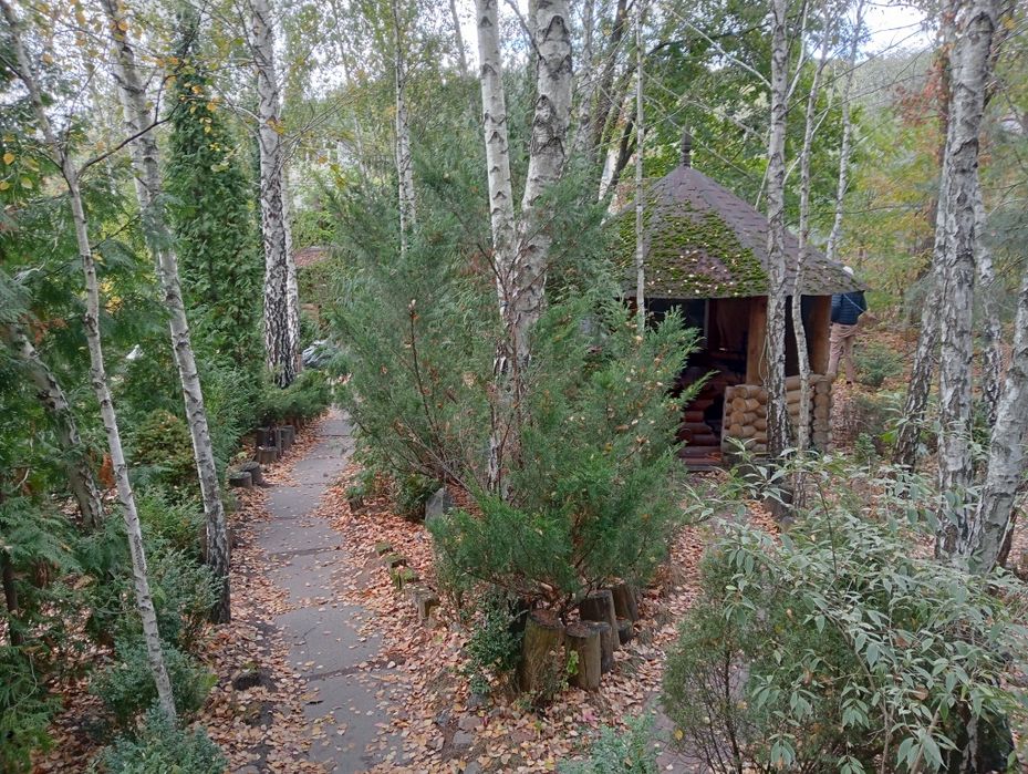 Оренда подобово заміський будинок зі зрубу баня