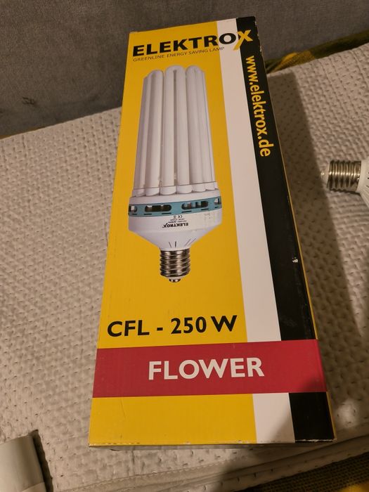 Żarówka CFL 250W na kwitnienie