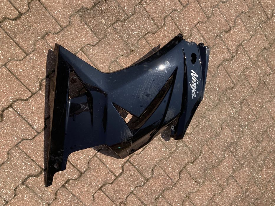 Carnagem Kawasaki Ninja