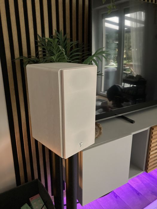 Focal Vestia n1 białe Light Wood jak nowe