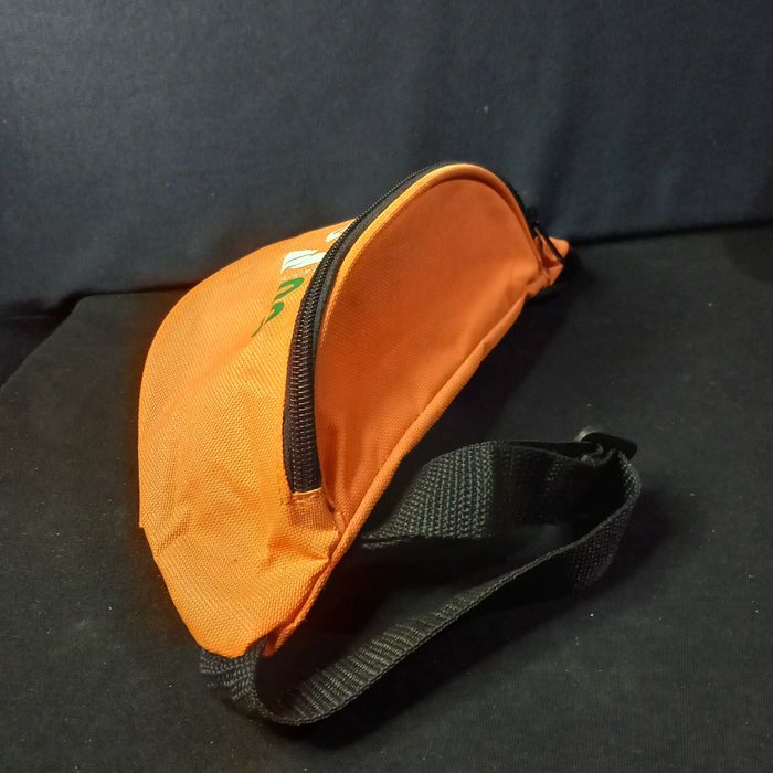 Bolsa cintura PSD eleições 2009