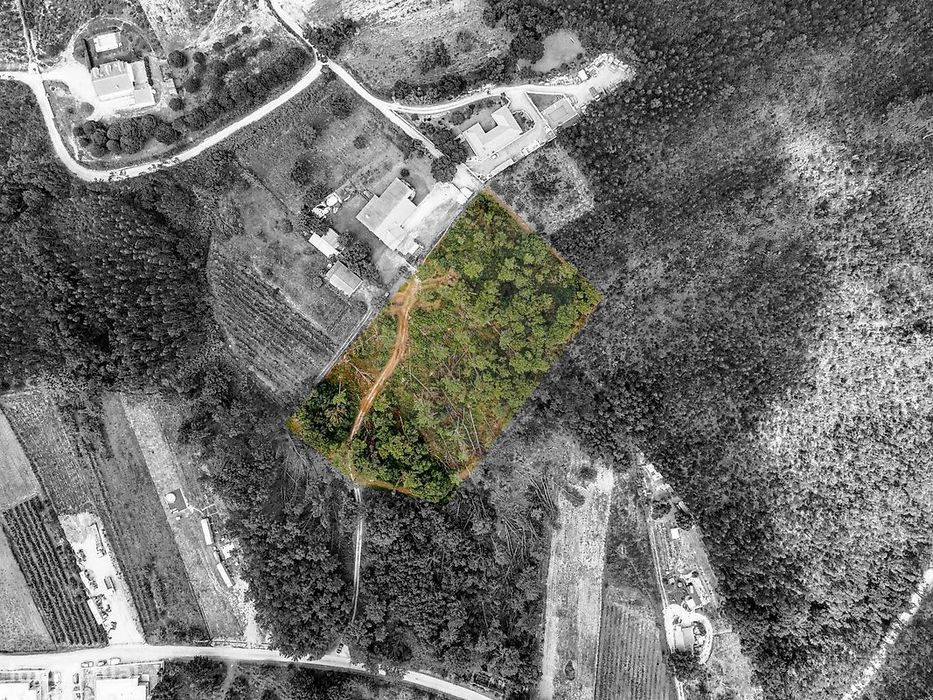 Terreno  para venda