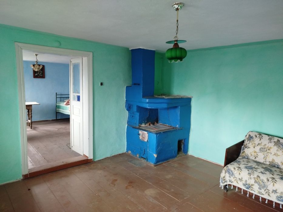 Будинок в Карпатах