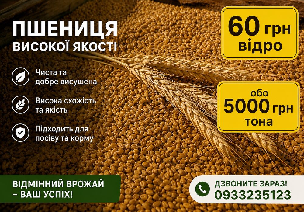 Продам якісну пшеницю