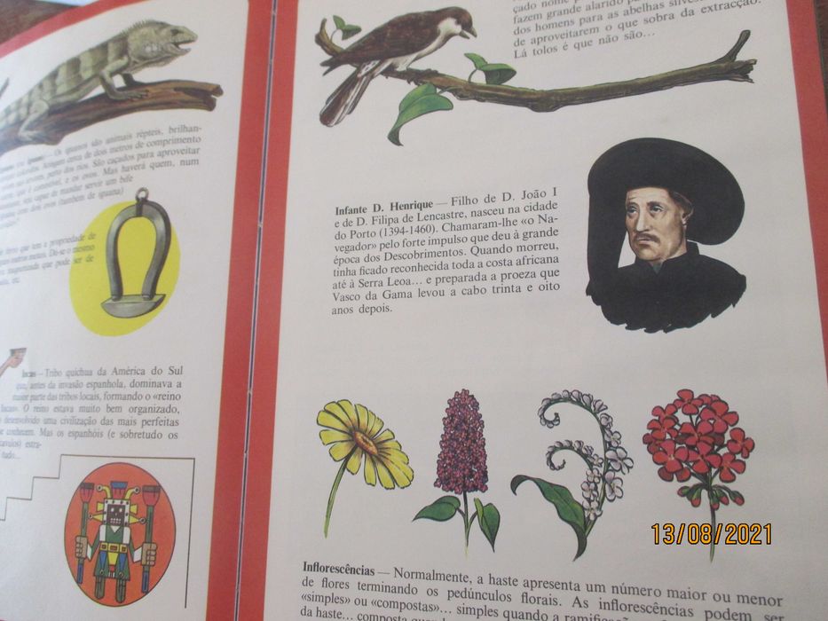 Enciclopédia infantil ilustrada - 6 volumes