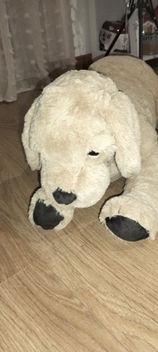 Cão de peluche praticamente novo