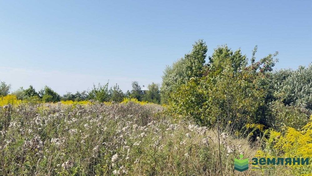 Продається ділянка 20 сот під будівництво в Хриплині (7)