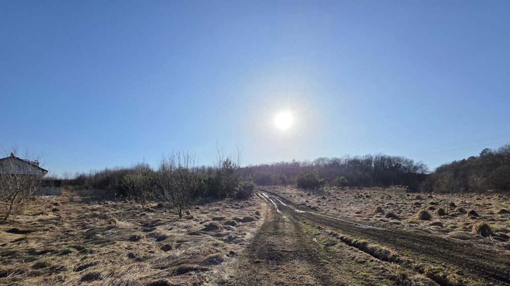 Ділянка с. Давидів під будівництво біля лісу 20 соток