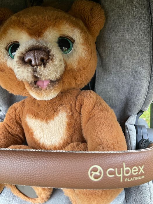 Cybex 2в1 найкраща коляска