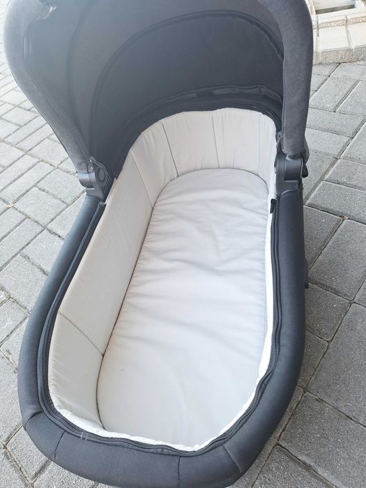 Alcofa Chicco (Nova)