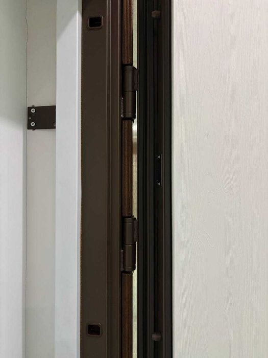 Вхідні двері преміум сегмент