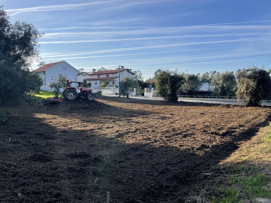 Limpeza/desmatacao de terrenos