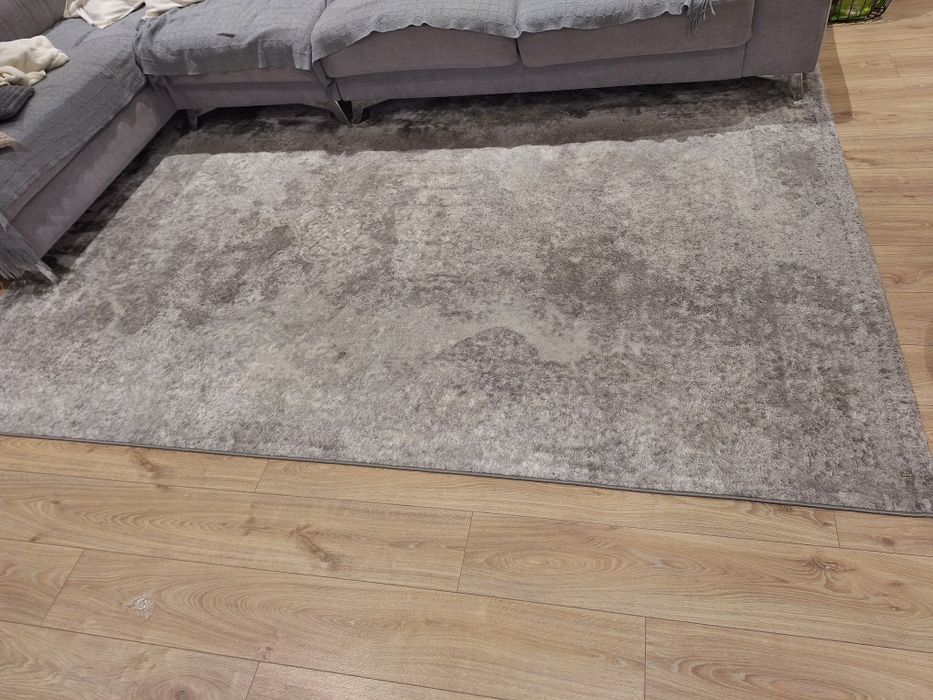 Large Gray Carpet 200×300