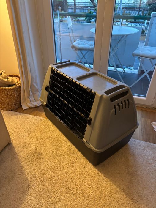 Caixa Transportadora de Cães